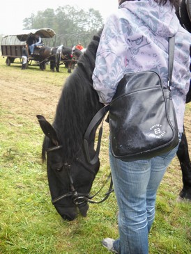 Hubertova jízda Bouzov 2010 m