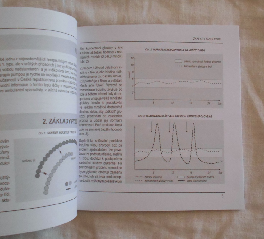 MUDr. Jan Brož - Základy léčby diabetu pomocí inzulínové pumpy - 2008
