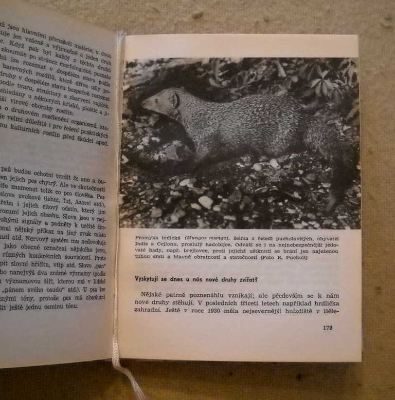 Ing. Zdeněk Michalec - Co nevíte o přírodě - Mf 1964