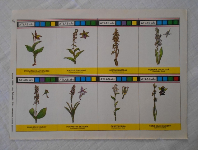 Atlas abc - Příroda Flóra Evropské orchideje - původní list 8 kartiček