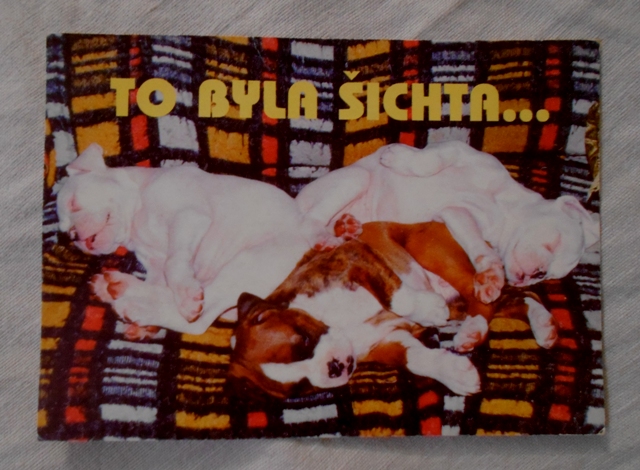 Barevná pohlednice To byla šichta... - štěňata
