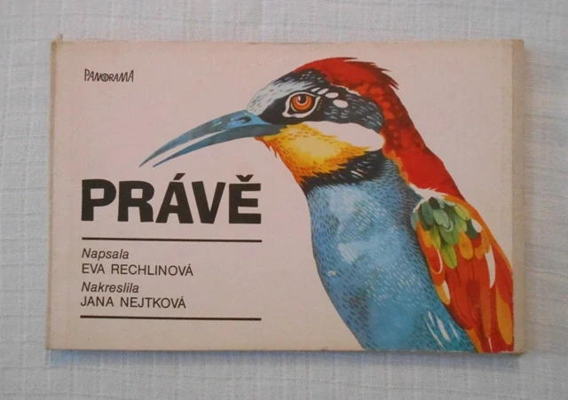 Eva Rechlinová, Jana Nejtková - Právě - Panorama 1986