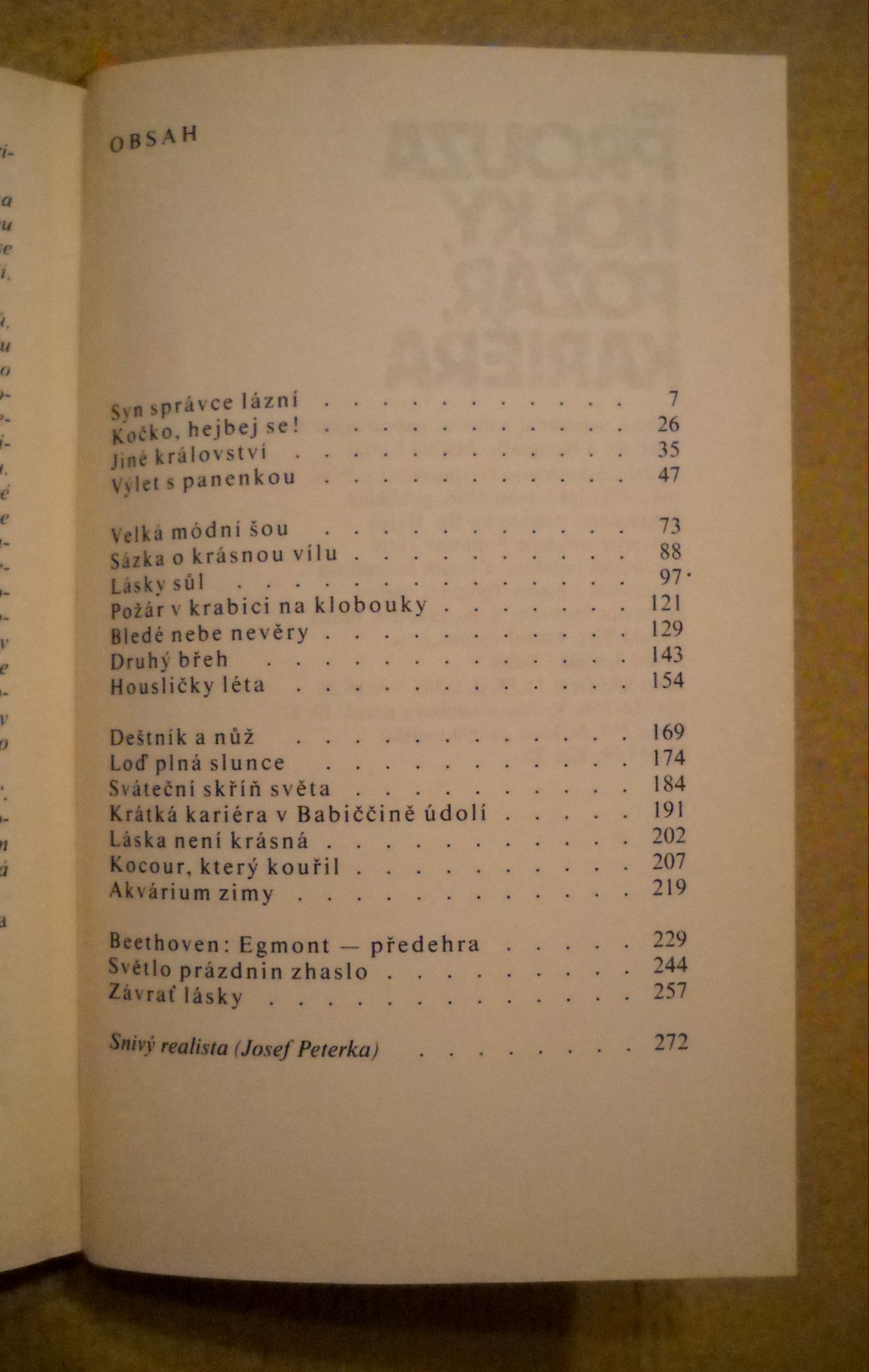 Petr Prouza - Holky, Požár, Kariéra - 1989