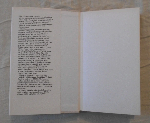 John Updike - Chceš si mě vzít? - Mf 1983