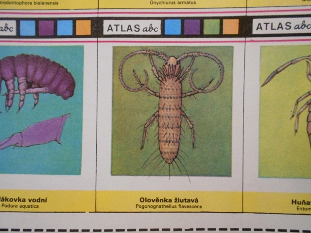 Atlas abc - Příroda Fauna Chvostoskoci - původní list 8 kartiček - 1985
