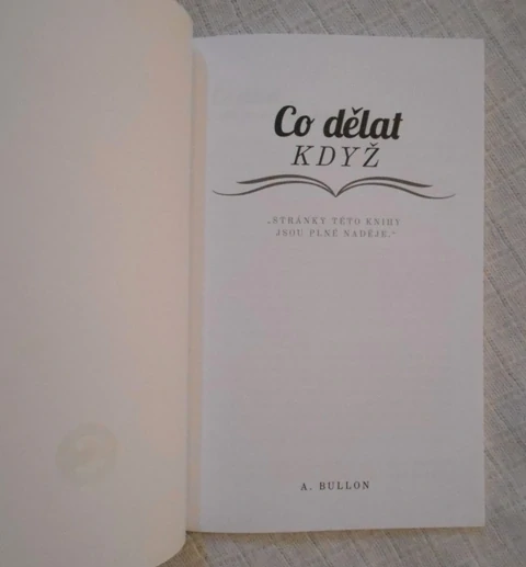 Allejandro Bullon - Co dělat když - 2019