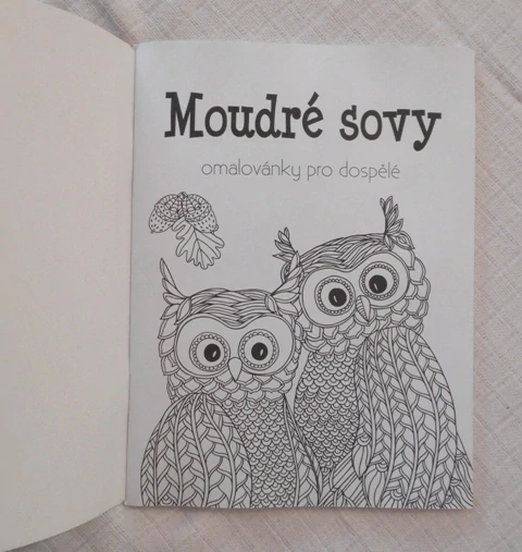 Moudré sovy: Omalovánky pro dospělé - 2016