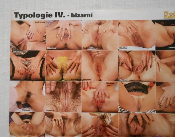 Poster Typologie IV. - bizarní - Extáze rok 2002 číslo 9