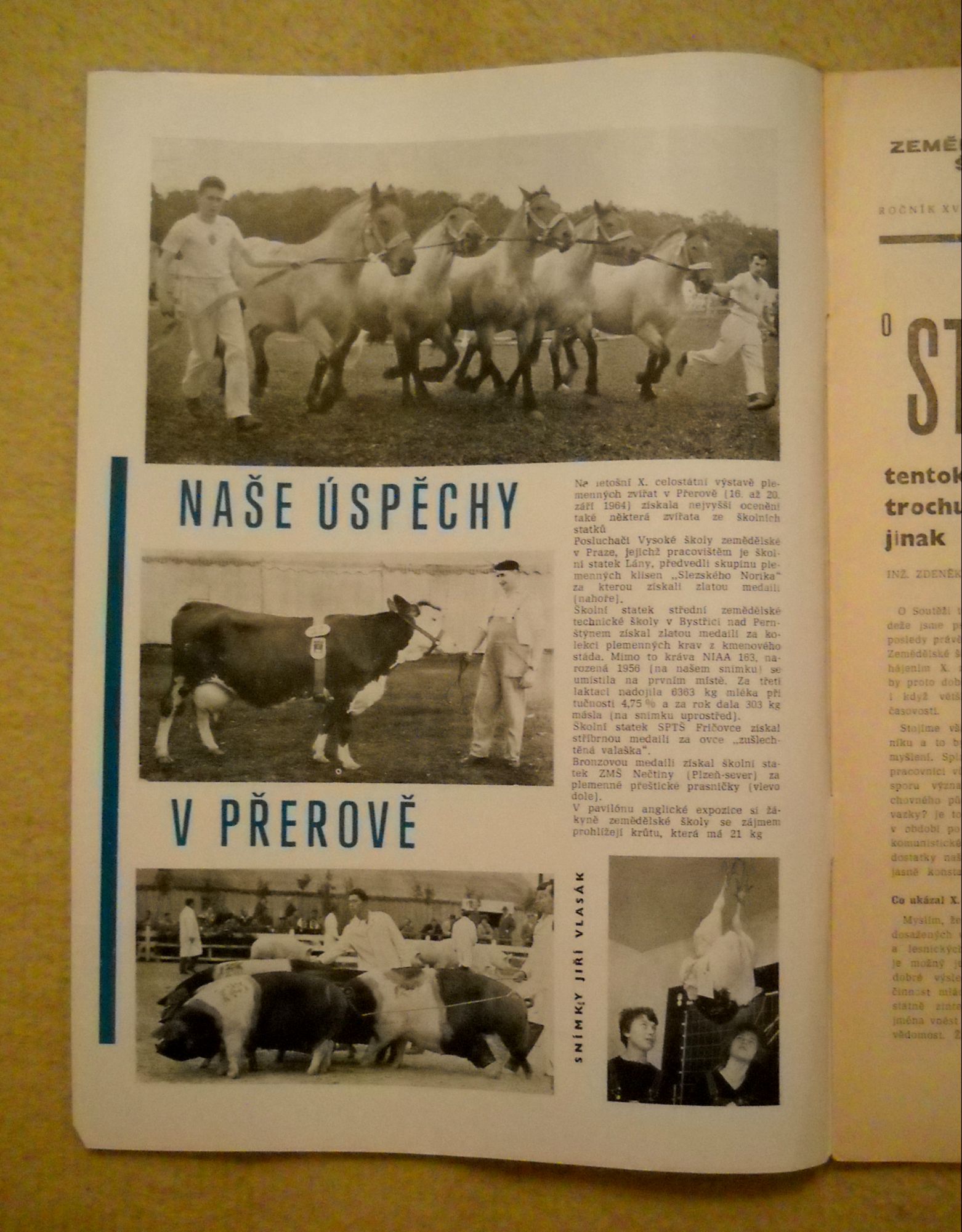 Časopis Zemědělská škola rok 1964 - 65 číslo 2