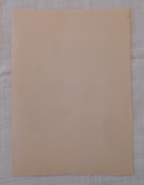 List herbáře kreslený Brambory: 2/249 Daria - cca 1965