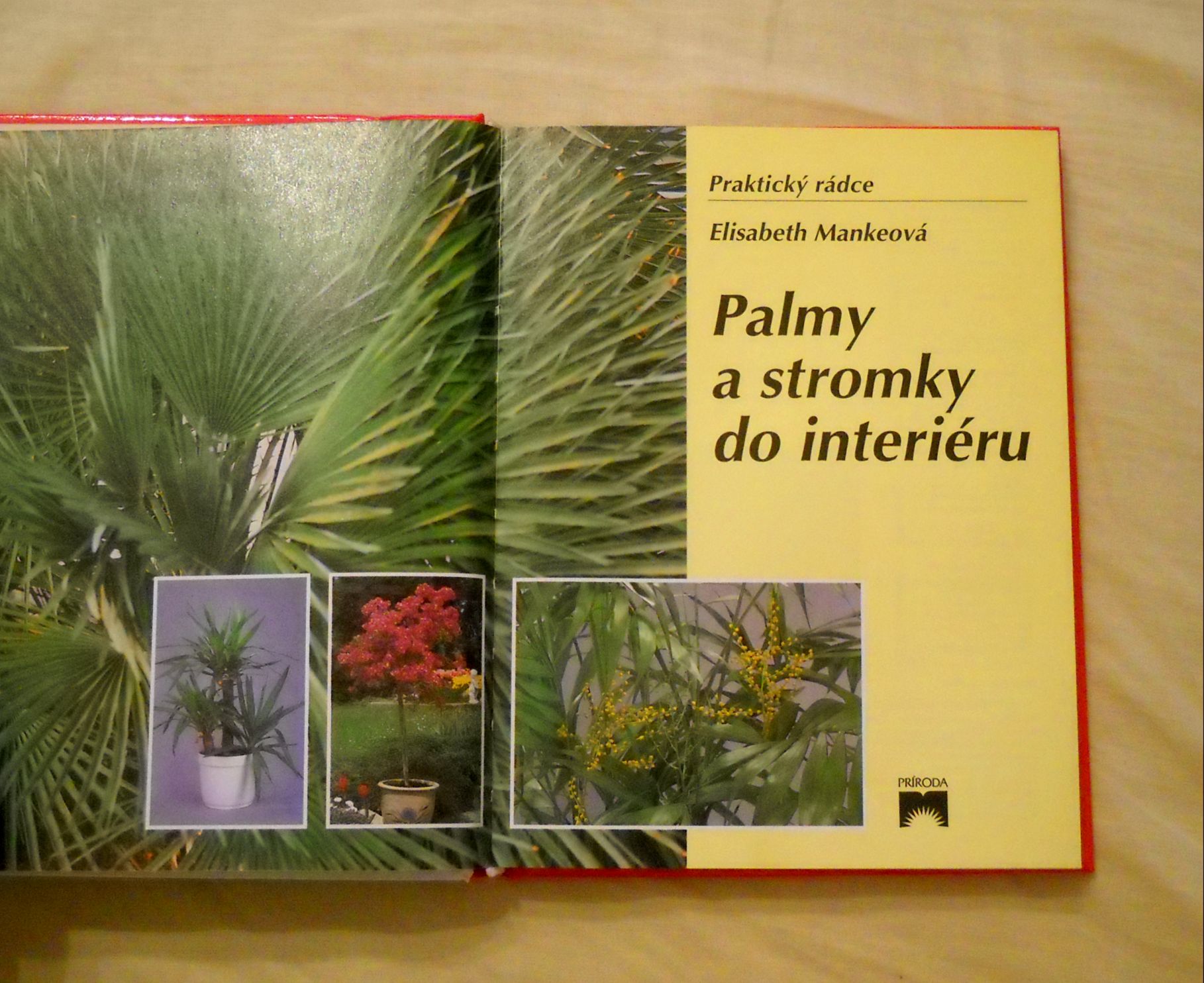 Elisabeth Mankeová - Palmy a stromky do interiéru - 1998