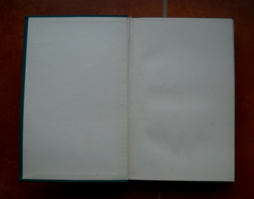 Jolán Főldes - Ulice u rybařící kočky - ELK 1937