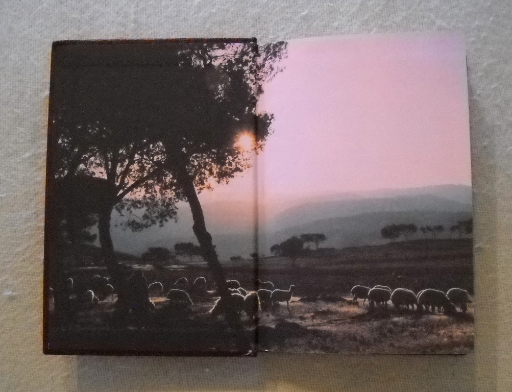 Největší člověk, který kdy žil - 1993