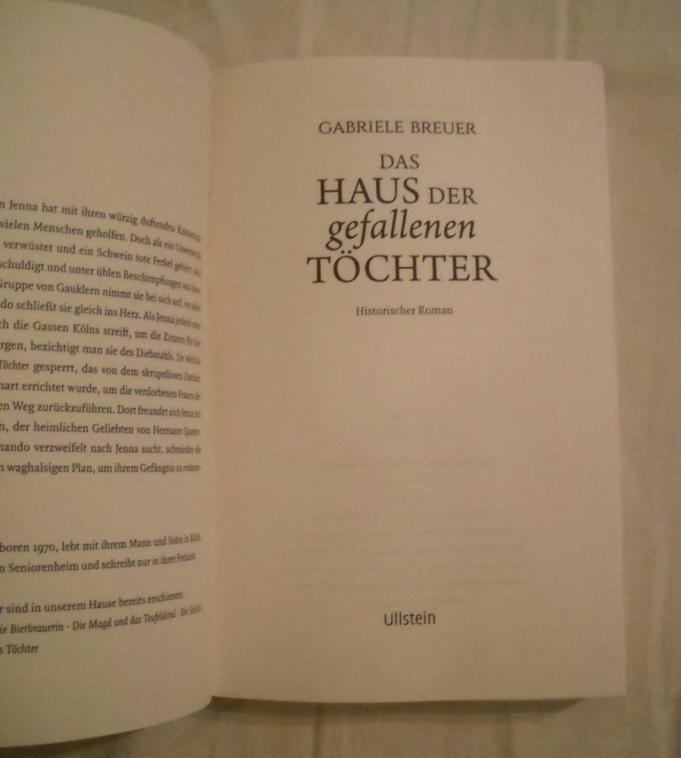 Gabriele Breuer - Das Haus der gefallenen Tőchter - 2018
