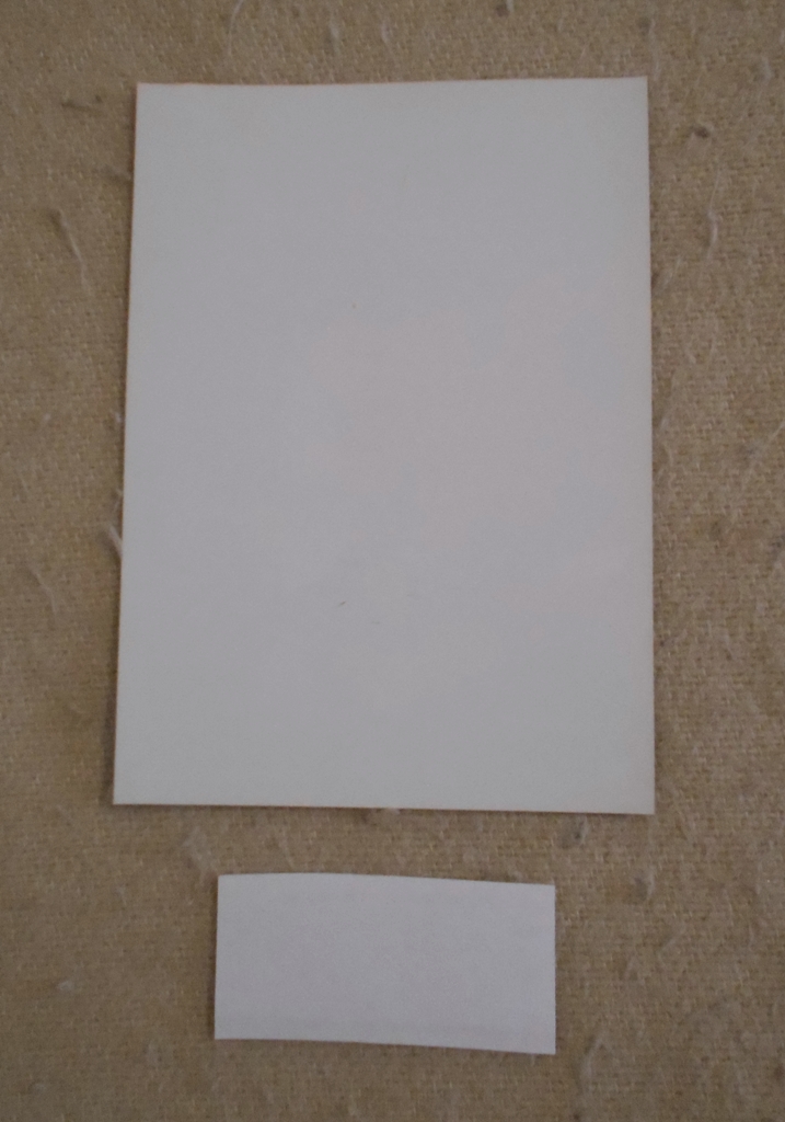 Reklamní leták Trekken 4 Pragocon 2010 s hlasovacím lístkem