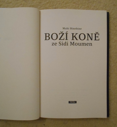 Mahi Binebine - Boží koně ze Sidi Moumen - 2014