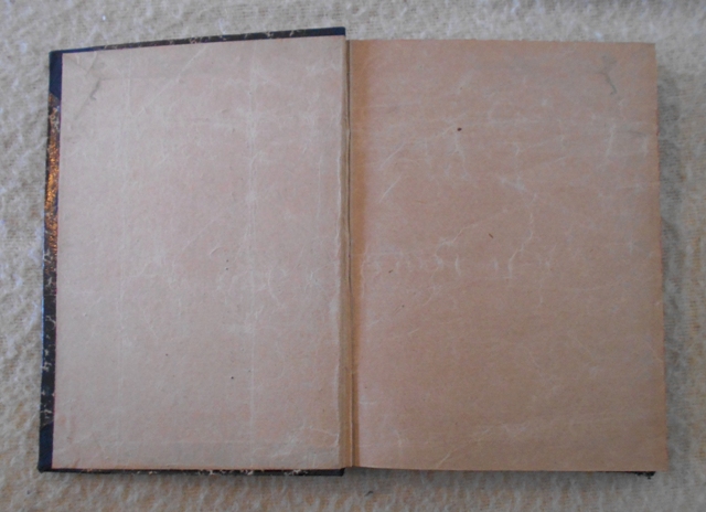 Alois Jirásek - Mezi proudy I. Dvojí dvůr - Praha 1920