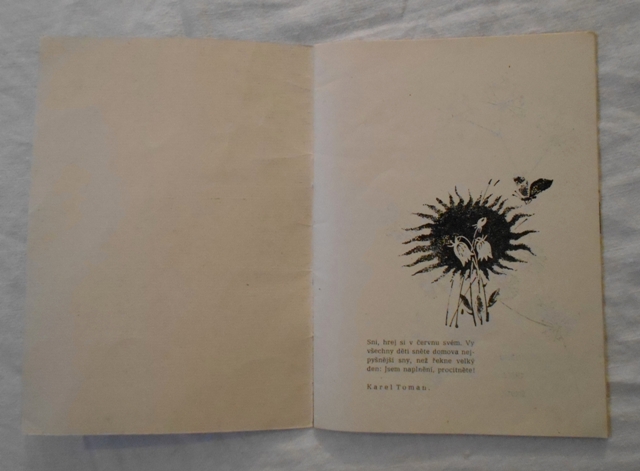 Zelingerová, Wellnerová - Malá učebnice péče o dítě - 1970
