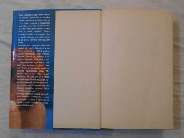 Diane Beate Hellmannová - Lařin příběh - 1995