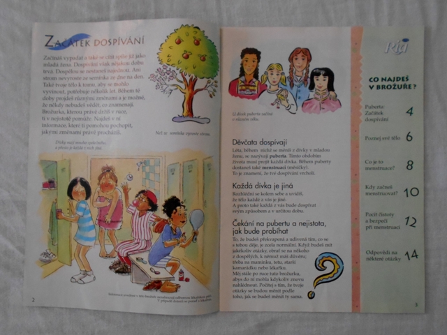 Vzdělávací propagační brožura Dospíváš v mladou ženu - 2001