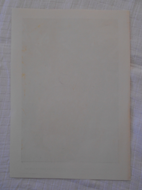 List herbáře fotografický Rybíz karlštejnský červený - 1964