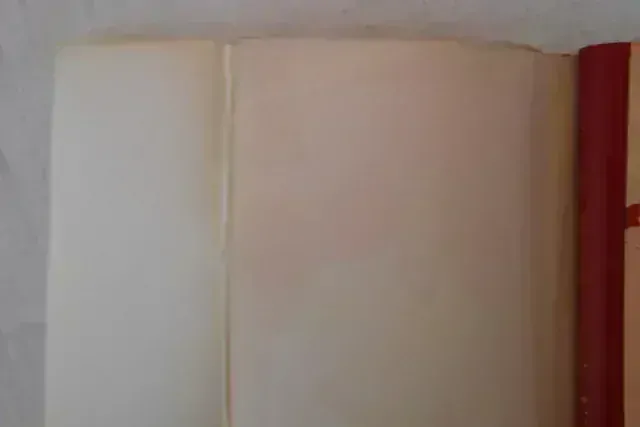 S.A. Kovpak - Pochod partyzánů Od Putivlu do Karpat - 1951