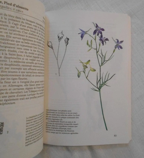 Větvička, Toušová - Plantes des champs et des forêts - 1986 - francouzsky