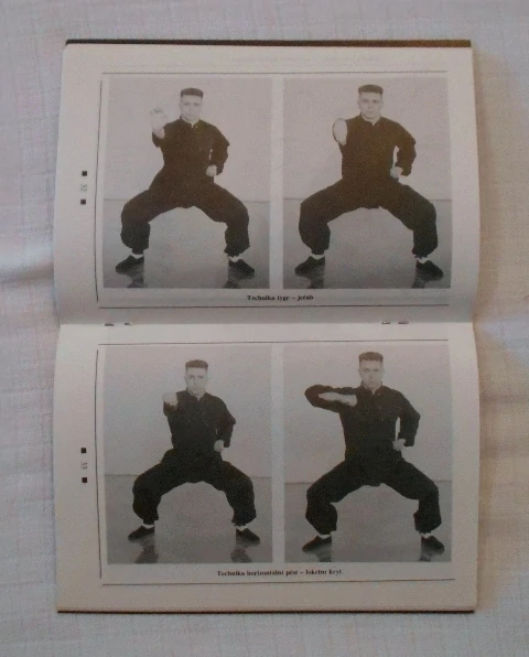 Hladík, Petrus - Siu-Lum Kung-Fu Sebeobrana jižního Shaolinu - 1992