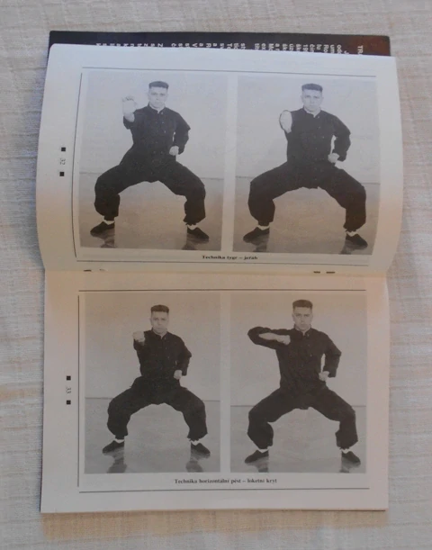 Hladík, Petrus - Siu-Lum Kung-Fu Sebeobrana jižního Shaolinu - 1992