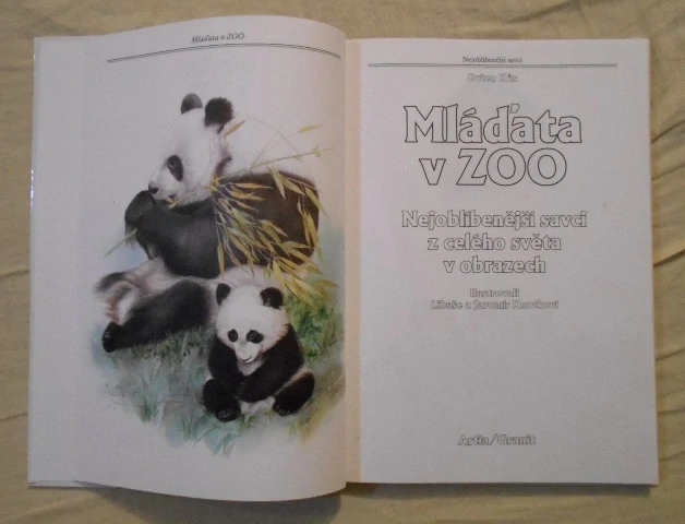 Kůs, Knotkovi - Mláďata v ZOO - 1993