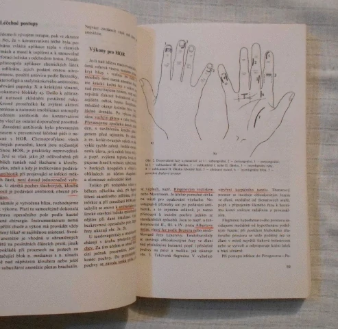 Kolektiv autorů České republiky - Chirurgická propedeutika - 1993