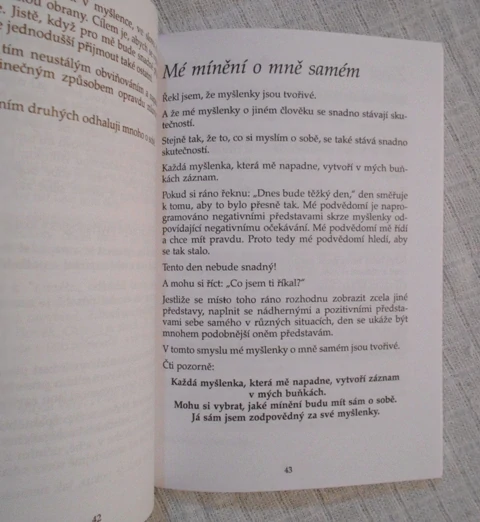 Kay Pollak - Žádná setkání nejsou náhodná - Onyx 1999