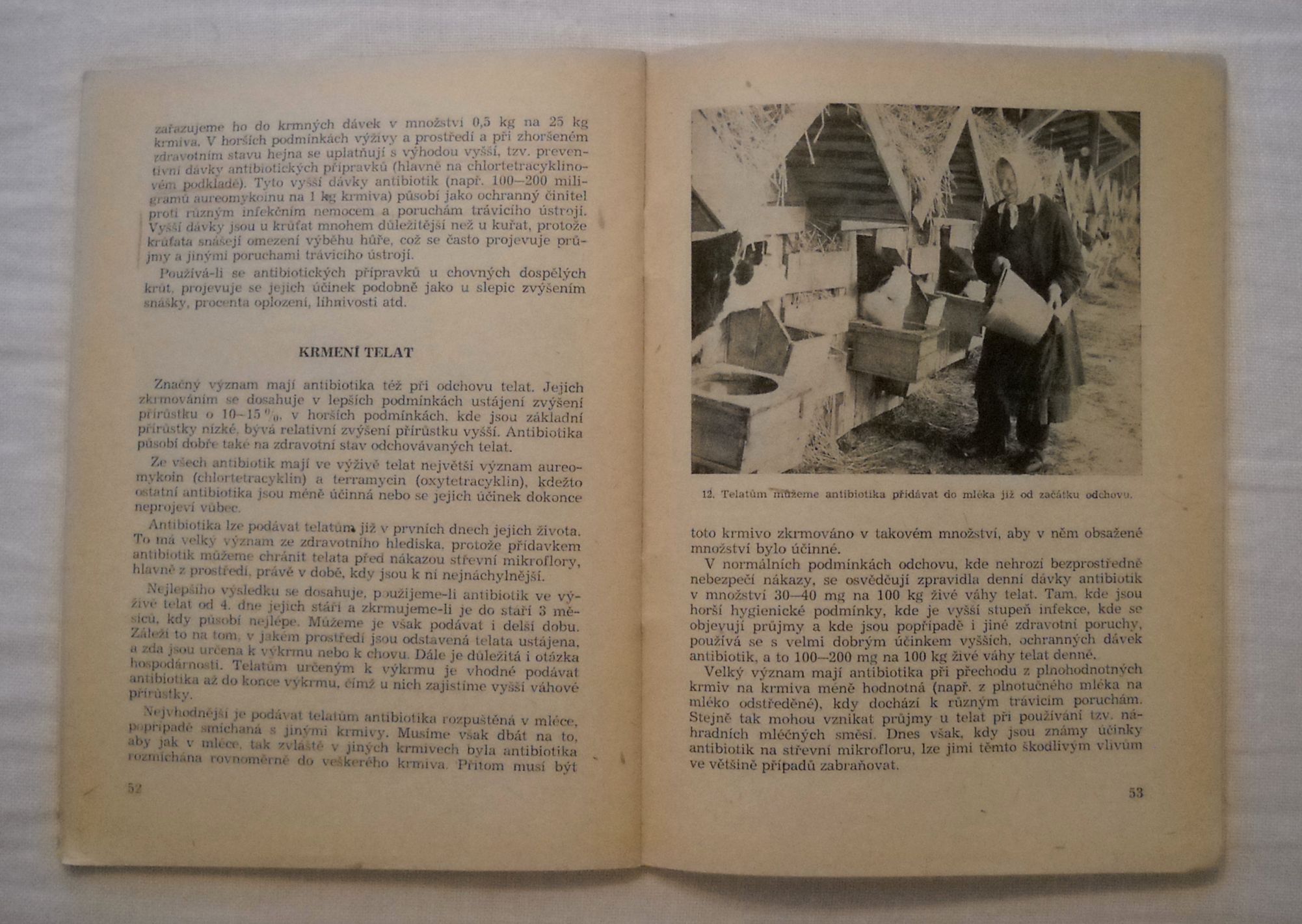 Bohuslav Bauer - Praktické využití antibiotik v živočišné výrobě - Praha 1958