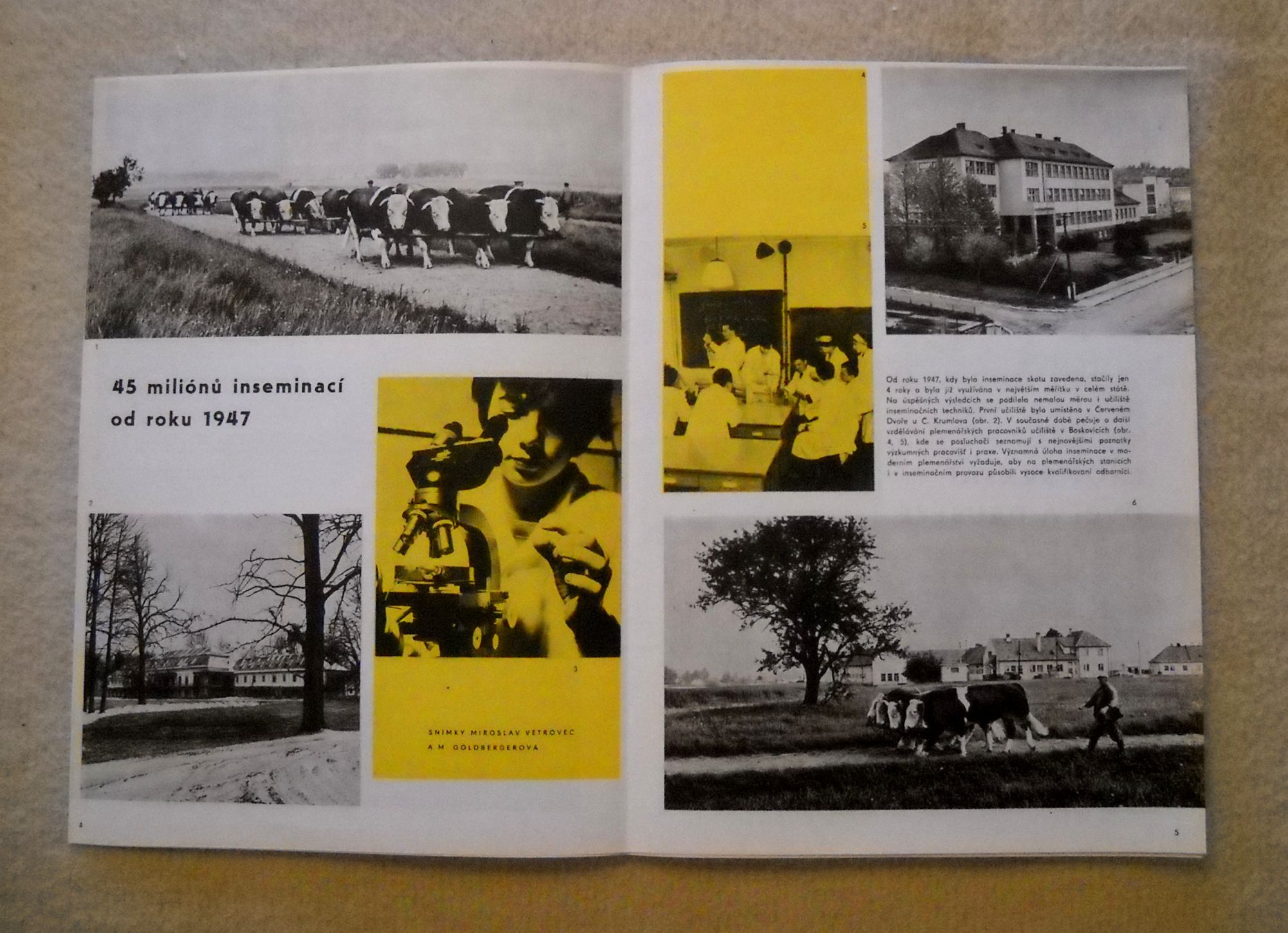 Současná úroveň plemenářství - Příloha časopisu Náš chov 1965