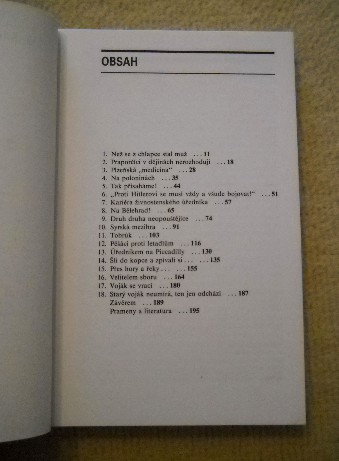 Pavel a Zdeněk Hrabicovi - Muž, který velel mužům - 1988