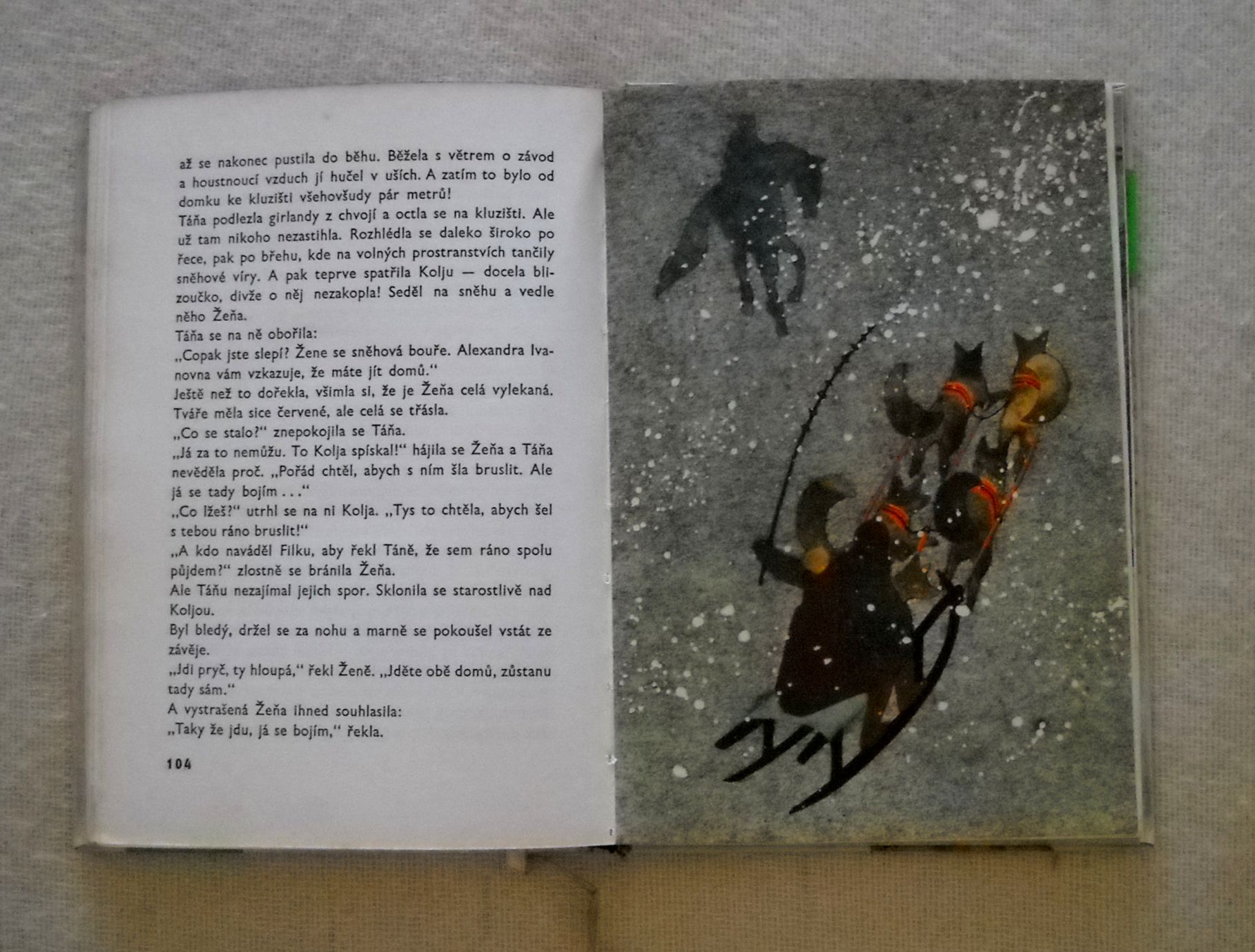 Ruvim Frajerman - Divoký pes Dingo aneb příběh o první lásce - 1965