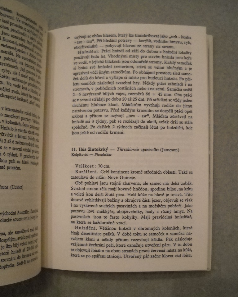 Stanislav Chvapil - Ptáci Austrálie - Academia 1985