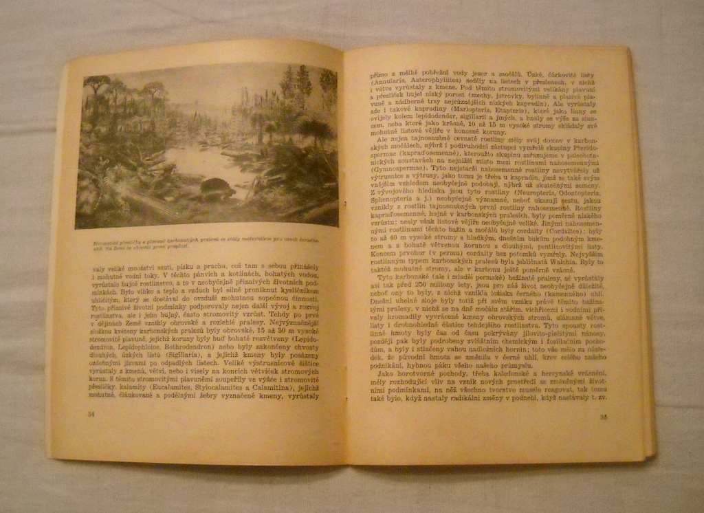 Výstava Vývoj vesmíru, Země a člověka - Orbis 1953