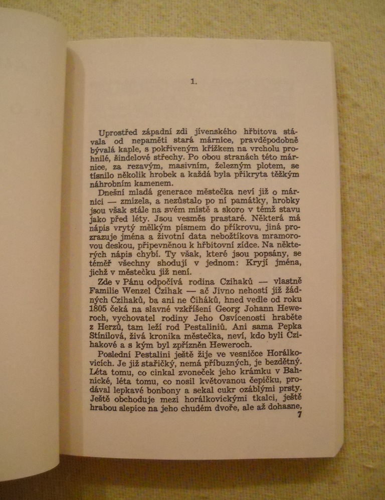 Jaroslav Havlíček - Petrolejové lampy - 2000