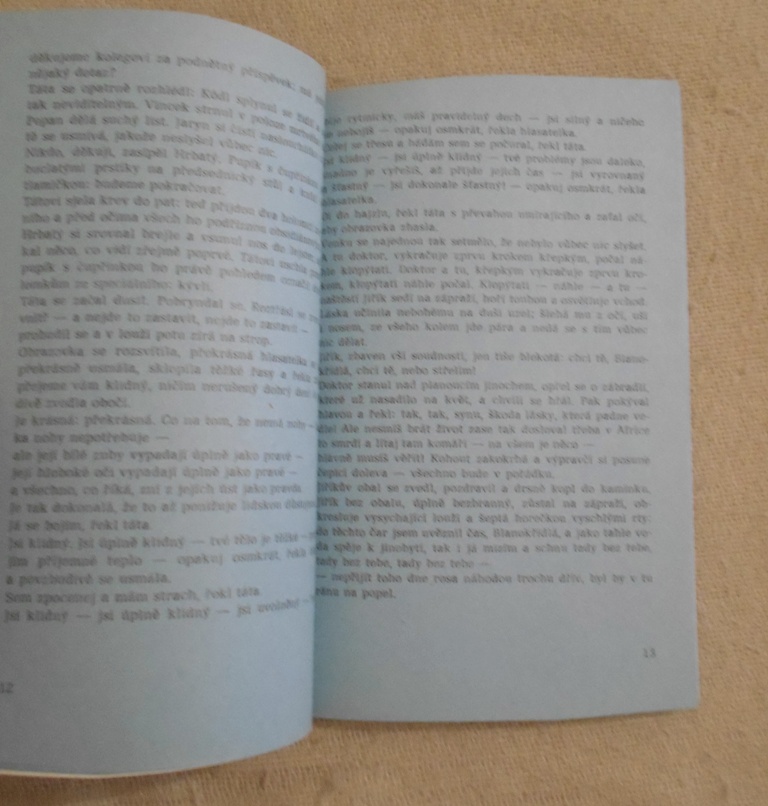 Alexandra Berková - Magorie aneb Příběh velké lásky - Horizont 1991