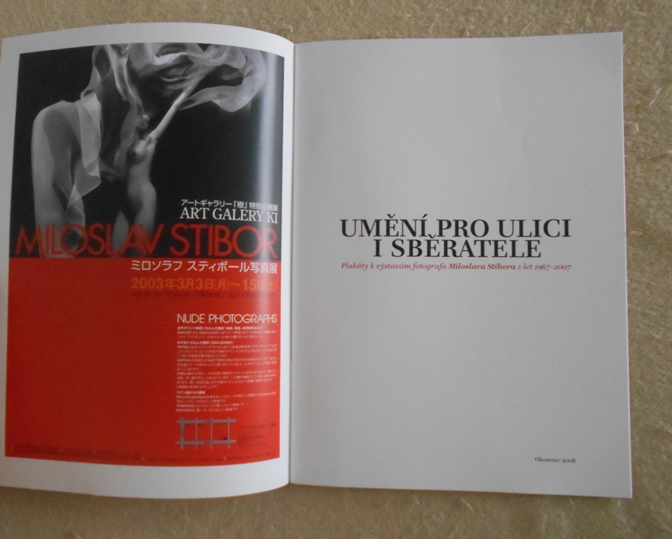 Umění pro ulici i sběratele - katalog k výstavě 2008