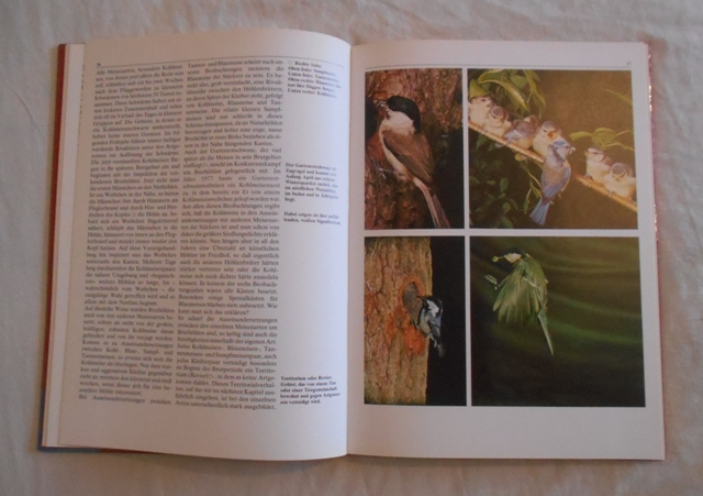 Eberhard Weismann - Revierverhalten und Wanderungen der Tiere - 1978
