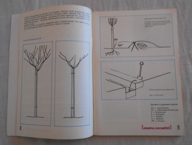 Katalog Sempra ZZS Kroměříž - Růže - 1976