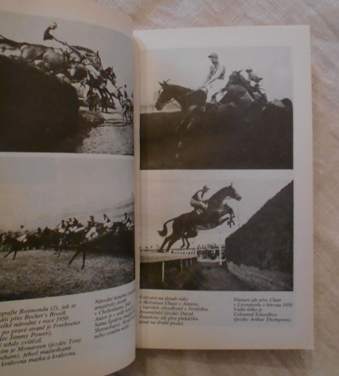 Dick Francis - Sport královen - Olympia 1989