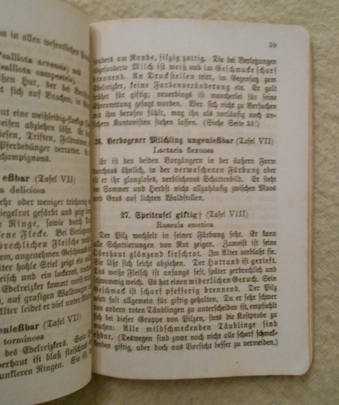E. Walther, A. Grimm - Taschenbuch für Pilzsammler - 1918