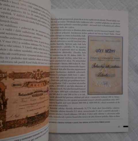 Michael Viktořík - Litovelský cukrovar - 2005