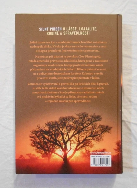 Corban Addison - Beznadějný případ? - 2013