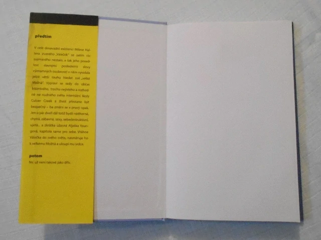 John Green - Hledání Aljašky - 2013