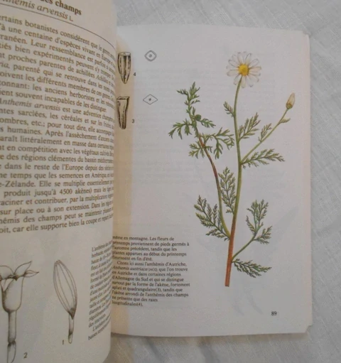 Větvička, Toušová - Plantes des champs et des forêts - 1986 - francouzsky