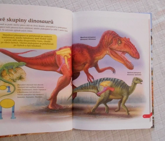 Dinosauři - Poznej dinosaury - 2019
